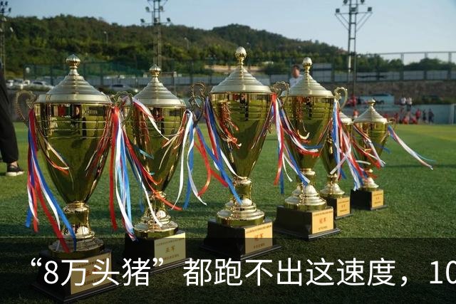 “8万头猪”都跑不出这速度，10万联军仅一天，就丢了3.5个新加坡