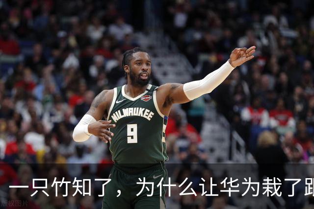 一只竹知了，为什么让华为栽了跟头？