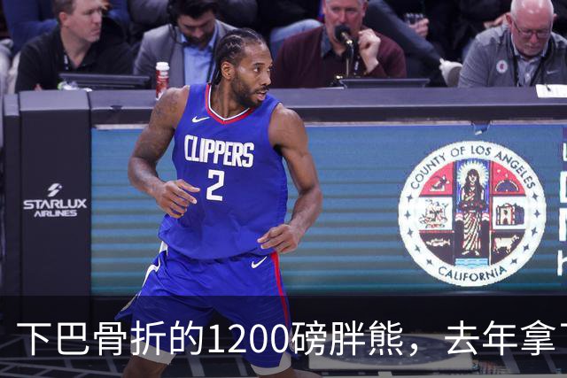 下巴骨折的1200磅胖熊，去年拿了9.6万票冠军