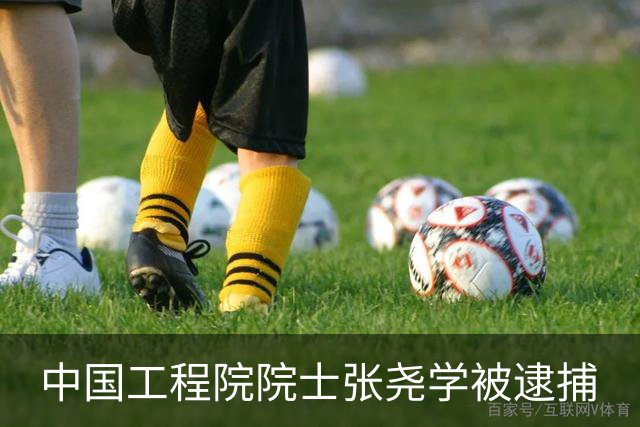 中国工程院院士张尧学被逮捕