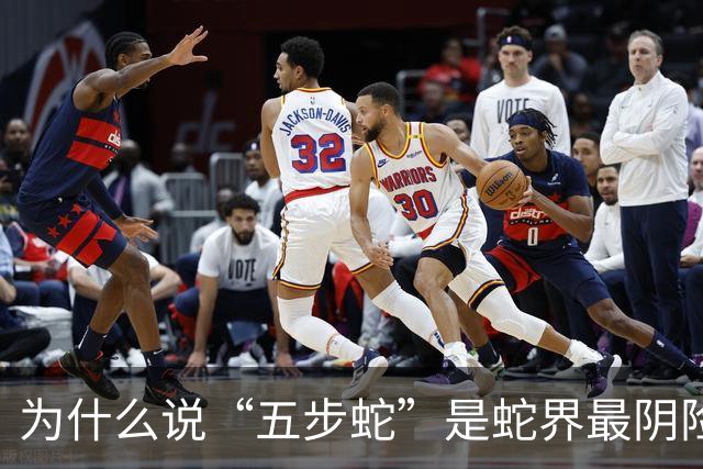 为什么说“五步蛇”是蛇界最阴险的毒蛇？它有何特别之处？