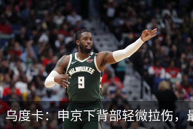 乌度卡：申京下背部轻微拉伤，最多缺席几场