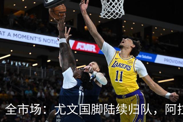 全市场：尤文国脚陆续归队，阿拉伊贝戈维奇伤情待观察