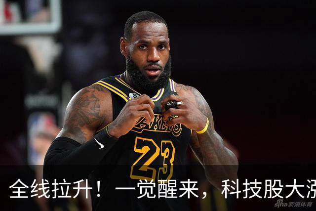 全线拉升！一觉醒来，科技股大涨