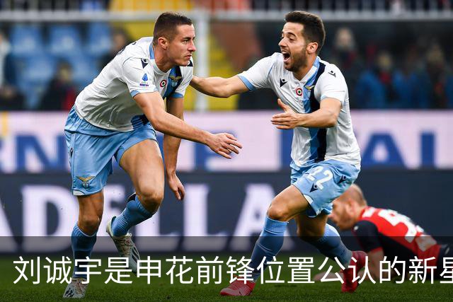 刘诚宇是申花前锋位置公认的新星，未来将挑大梁，值得期待