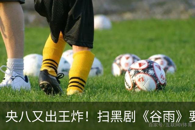 央八又出王炸！扫黑剧《谷雨》要来了
