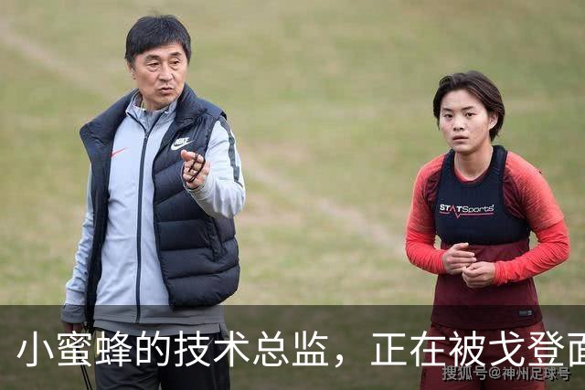 小蜜蜂的技术总监，正在被戈登面试