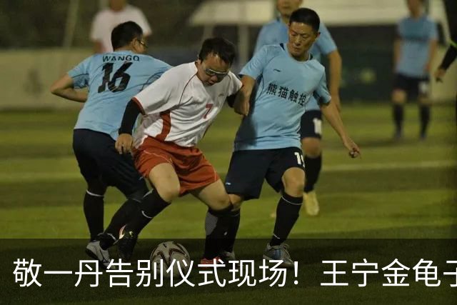 敬一丹告别仪式现场！王宁金龟子现身送别，多位主持人忍不住哭泣