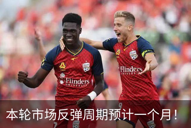 本轮市场反弹周期预计一个月！