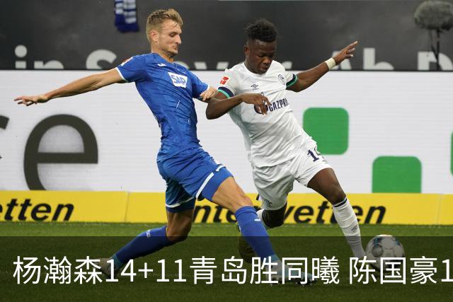 杨瀚森14+11青岛胜同曦 陈国豪12+7北控负深圳