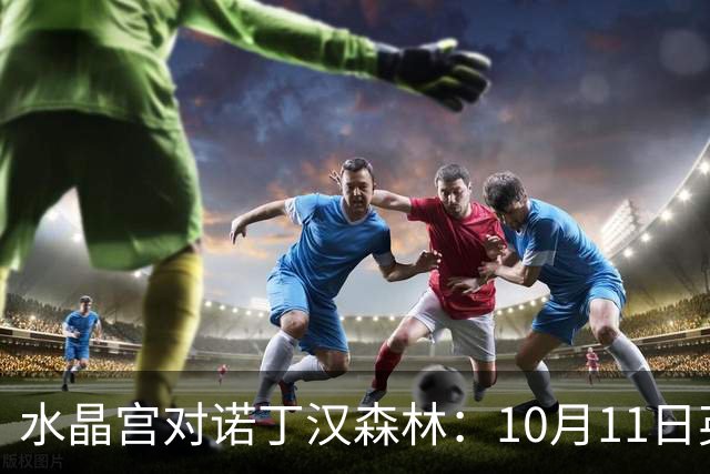 水晶宫对诺丁汉森林：10月11日英超直播博客暂不可用