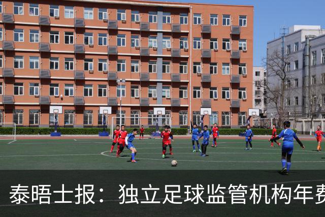 泰晤士报：独立足球监管机构年费2000万镑，英超出大头