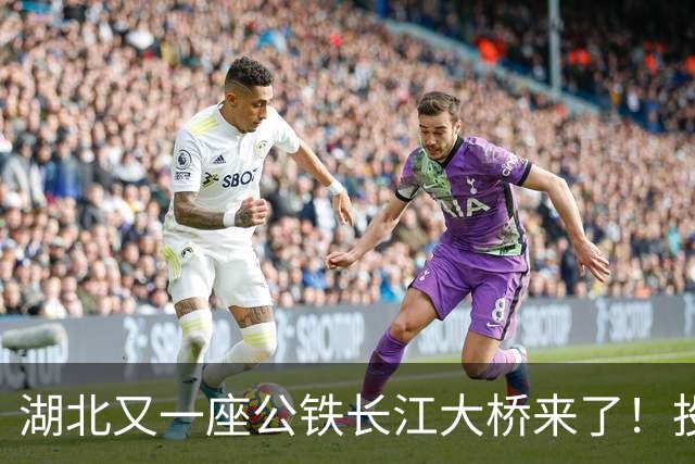 湖北又一座公铁长江大桥来了！投资‌116亿元‌，路线长‌9.7公里