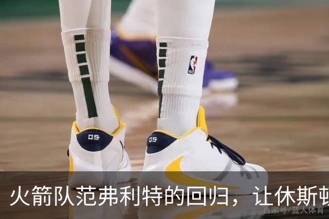 火箭队范弗利特的回归，让休斯顿火箭队成真正的NBA总冠军争夺者