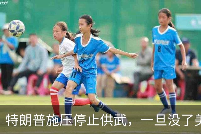 特朗普施压停止供武，一旦没了美国撑腰，泽连斯基将面临残酷处境