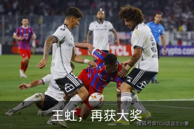 王虹，再获大奖