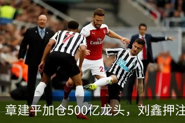 章建平加仓500亿龙头，刘鑫押注商业航天，多名牛散持仓曝光