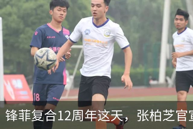 锋菲复合12周年这天，张柏芝官宣好消息，和谢霆锋彻底成过去式