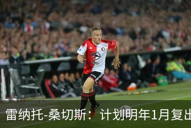 雷纳托-桑切斯：计划明年1月复出；伤病并非缺乏职业精神所致