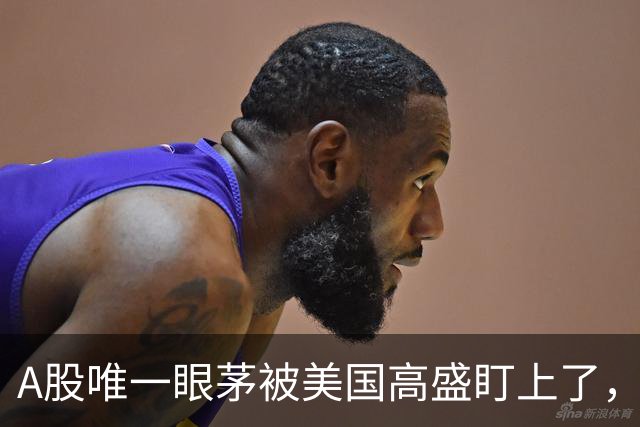 A股唯一眼茅被美国高盛盯上了，业绩暴增12962%，周五量能突然放大