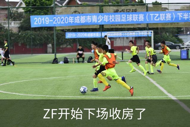 ZF开始下场收房了