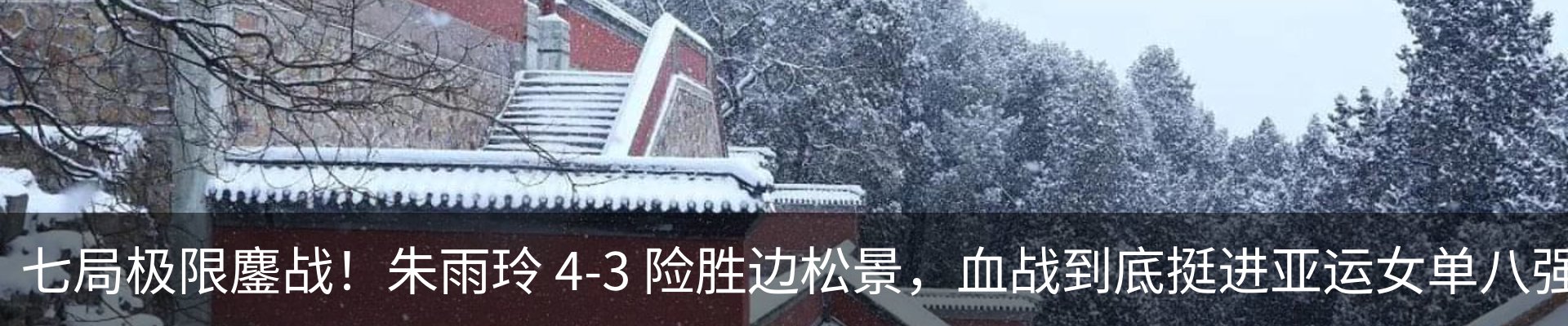 最新动态