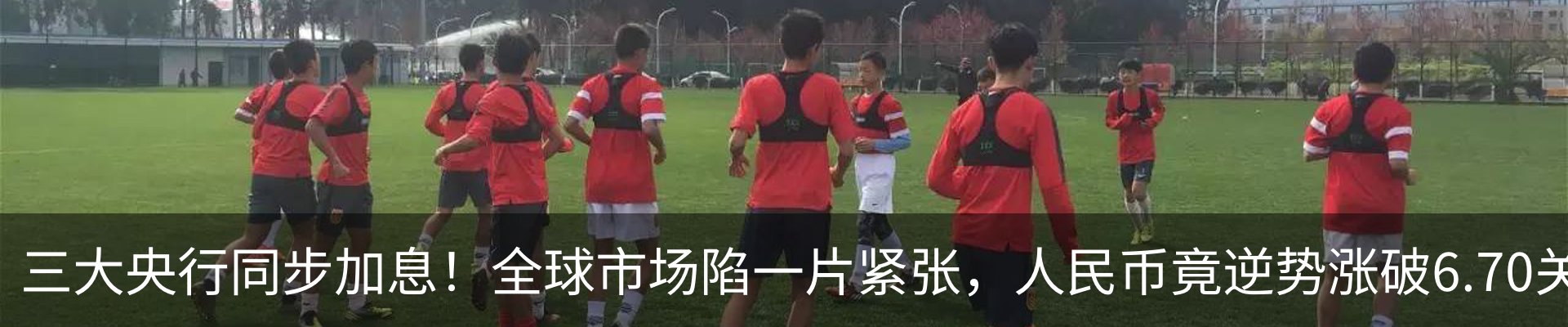 最新动态