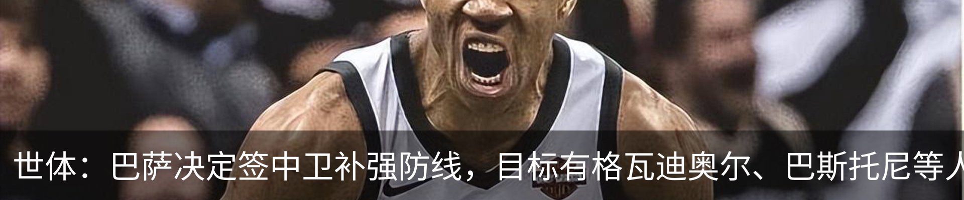 最新动态