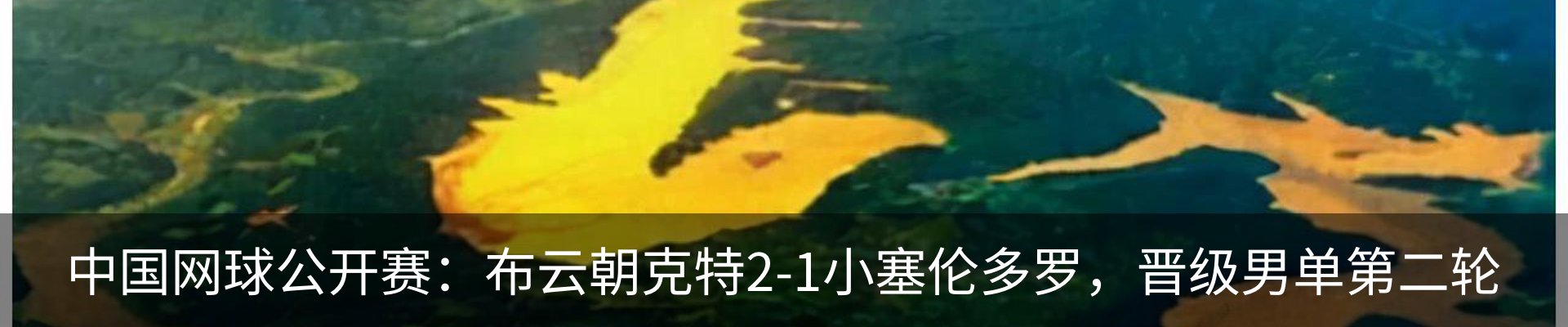 最新动态