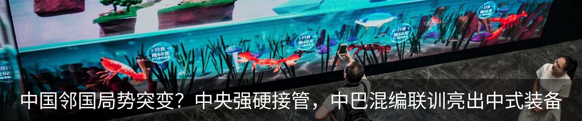 最新动态
