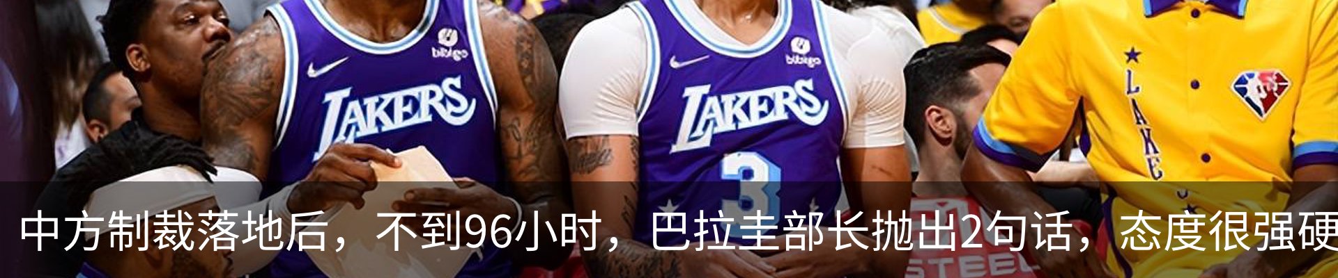 最新动态