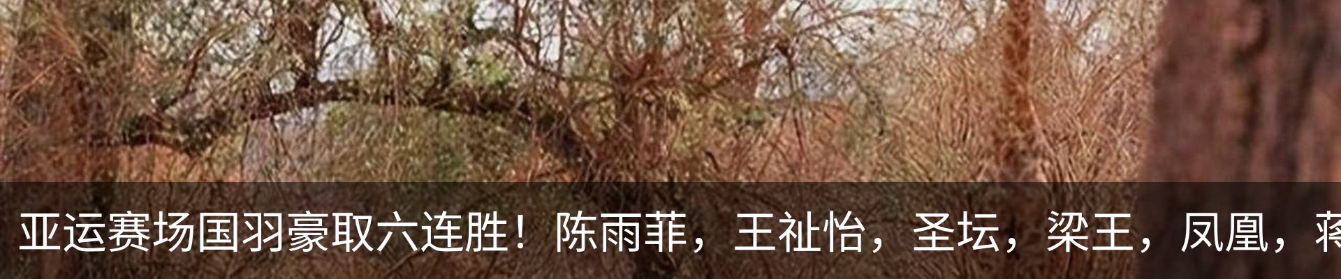 最新动态