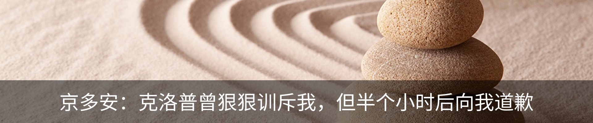 最新动态