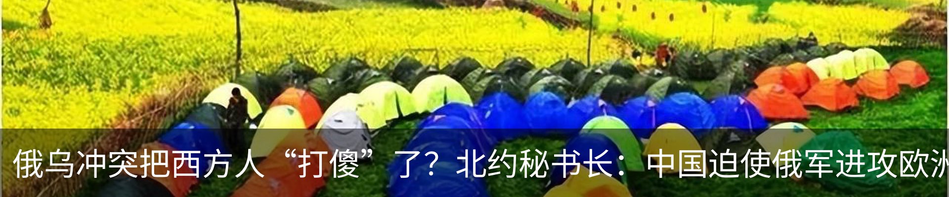 最新动态