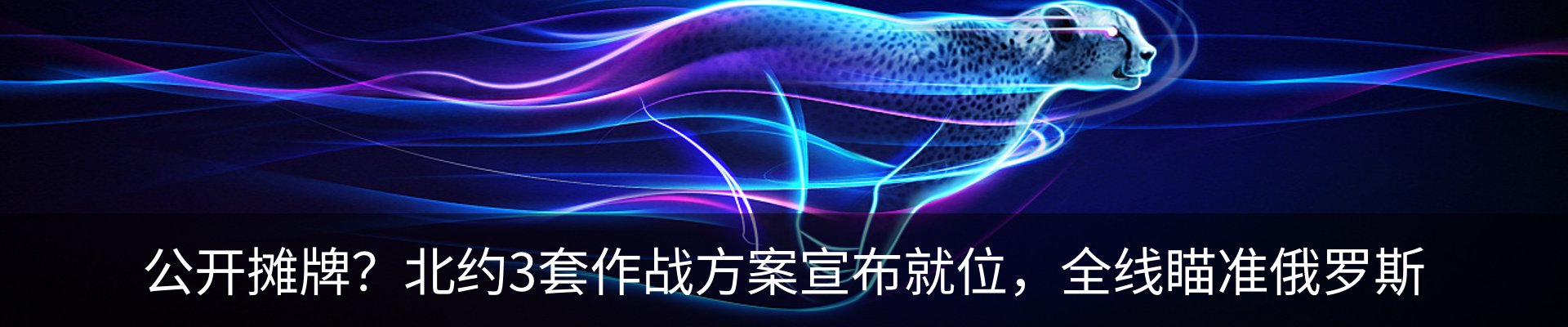 最新动态