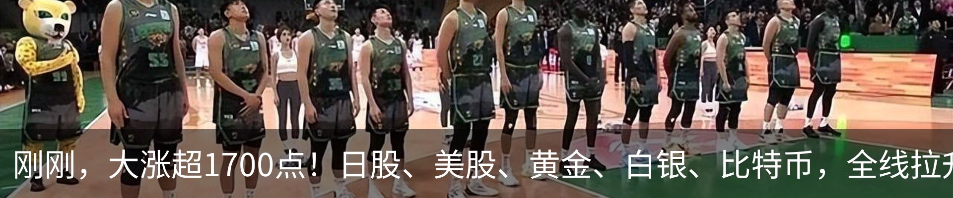 最新动态