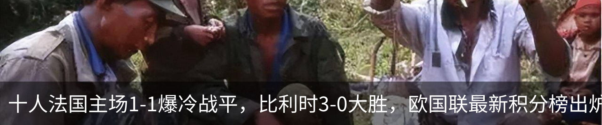 最新动态