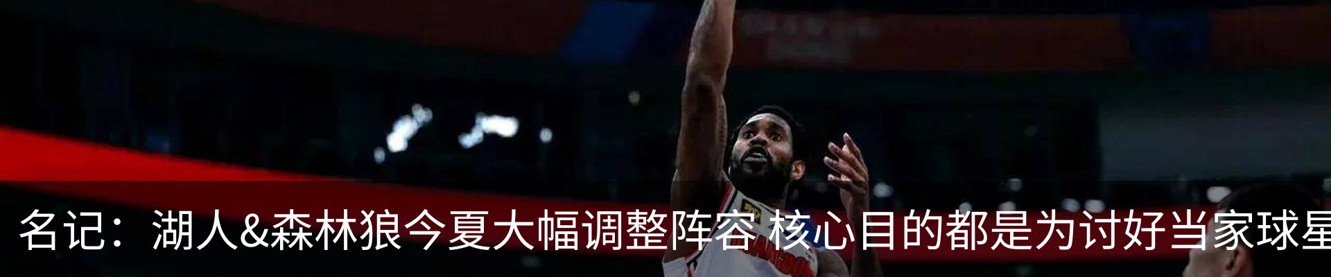 最新动态