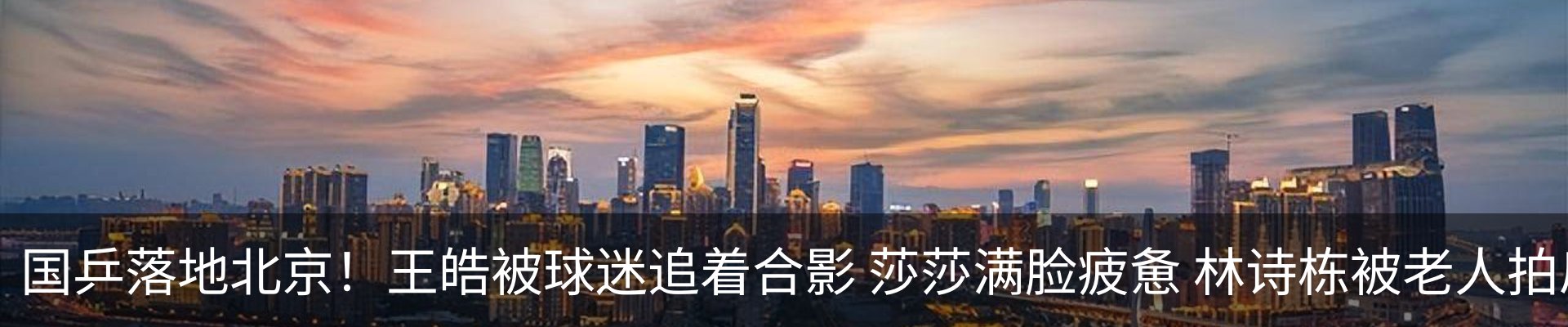 最新动态