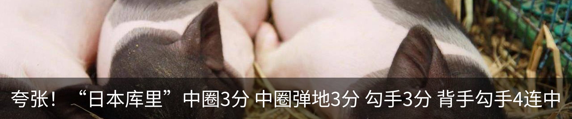 最新动态