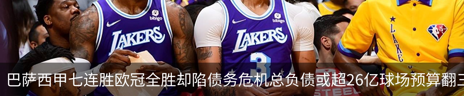 最新动态