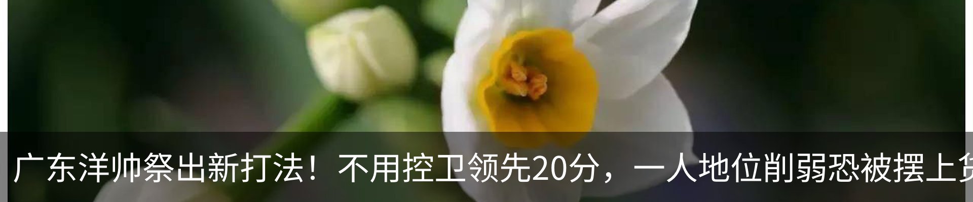 最新动态