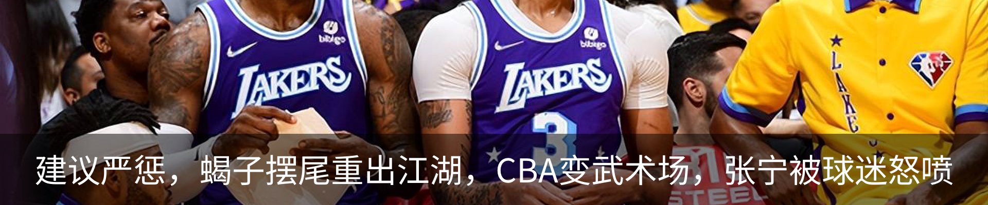 最新动态