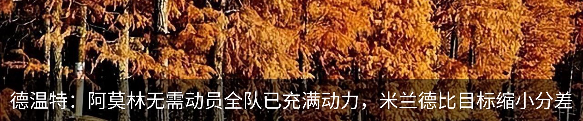 最新动态