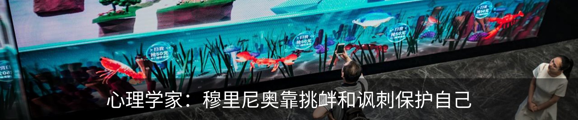 最新动态