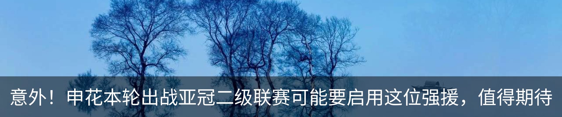 最新动态