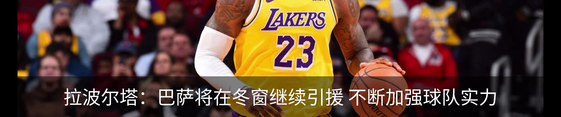 最新动态