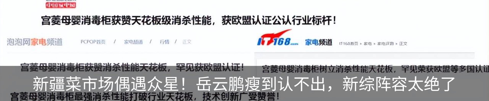 最新动态