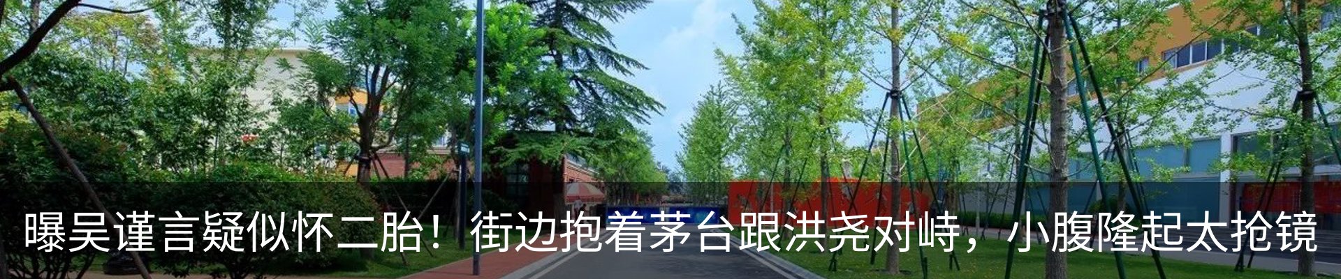 最新动态