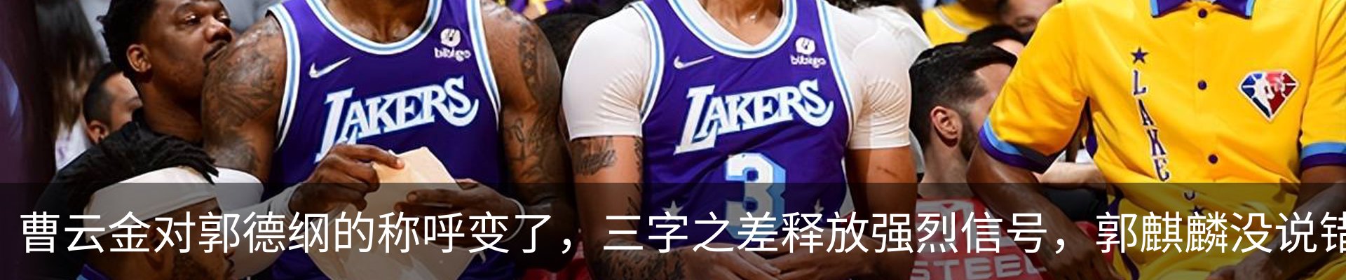 最新动态